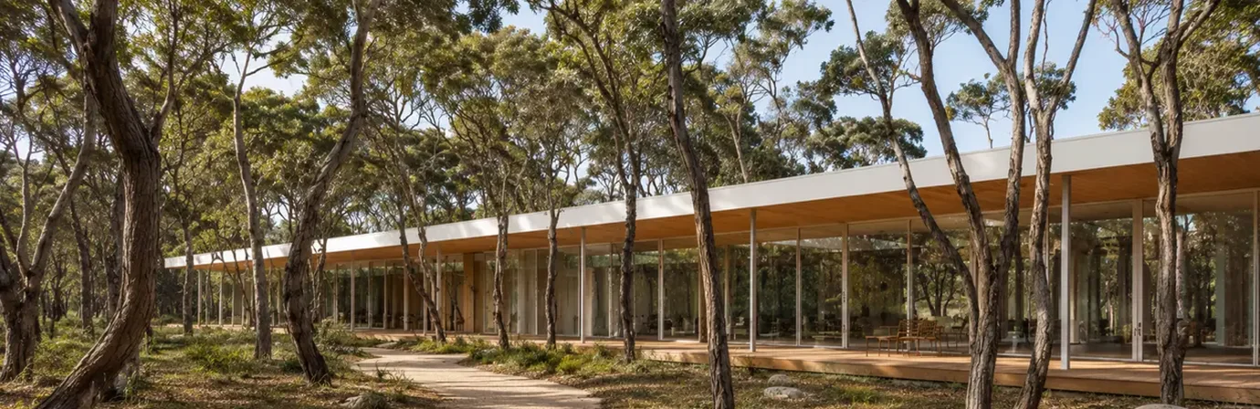 giantA sustainable design practice — minimalist glass pavilion raised on a timber deck with a white flat roof and warm timber soffit, threaded between tall native eucalyptus without clearing, demonstrating low-impact architecture and biophilic integration with the Australian bush
